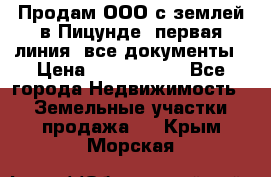 Продам ООО с землей в Пицунде, первая линия, все документы › Цена ­ 9 000 000 - Все города Недвижимость » Земельные участки продажа   . Крым,Морская